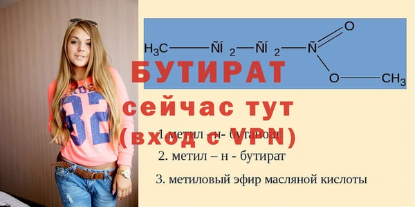 индика Заволжск