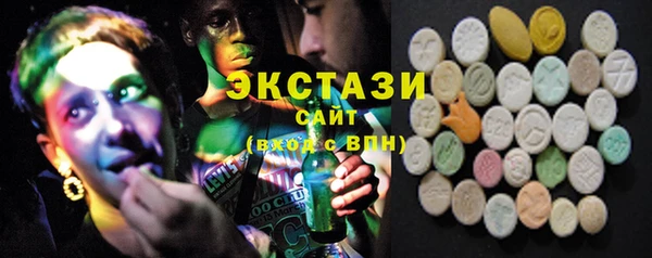 индика Заволжск