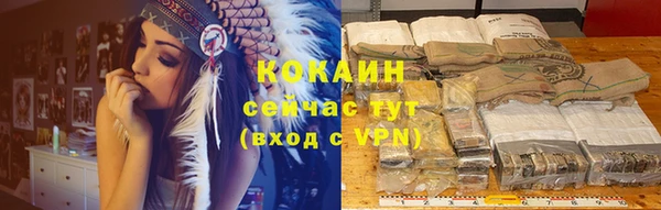 мет Елизово
