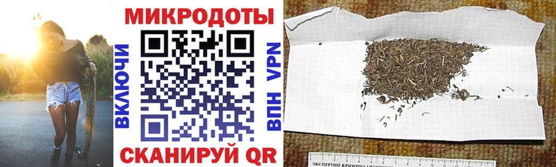 сколько стоит  Братск  Галлюциногенные грибы Cubensis 