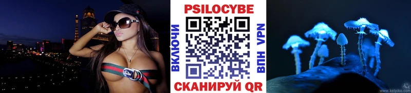 Галлюциногенные грибы Psilocybe Братск