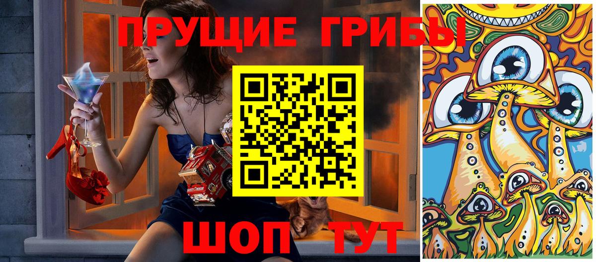 Братск  Псилоцибиновые грибы мухоморы  Вход с VPN 