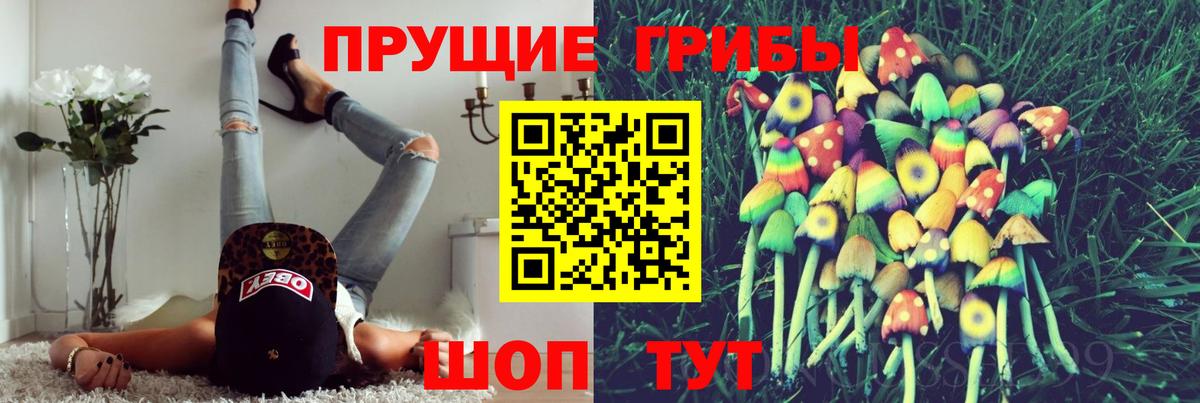 Псилоцибиновые грибы GOLDEN TEACHER Братск